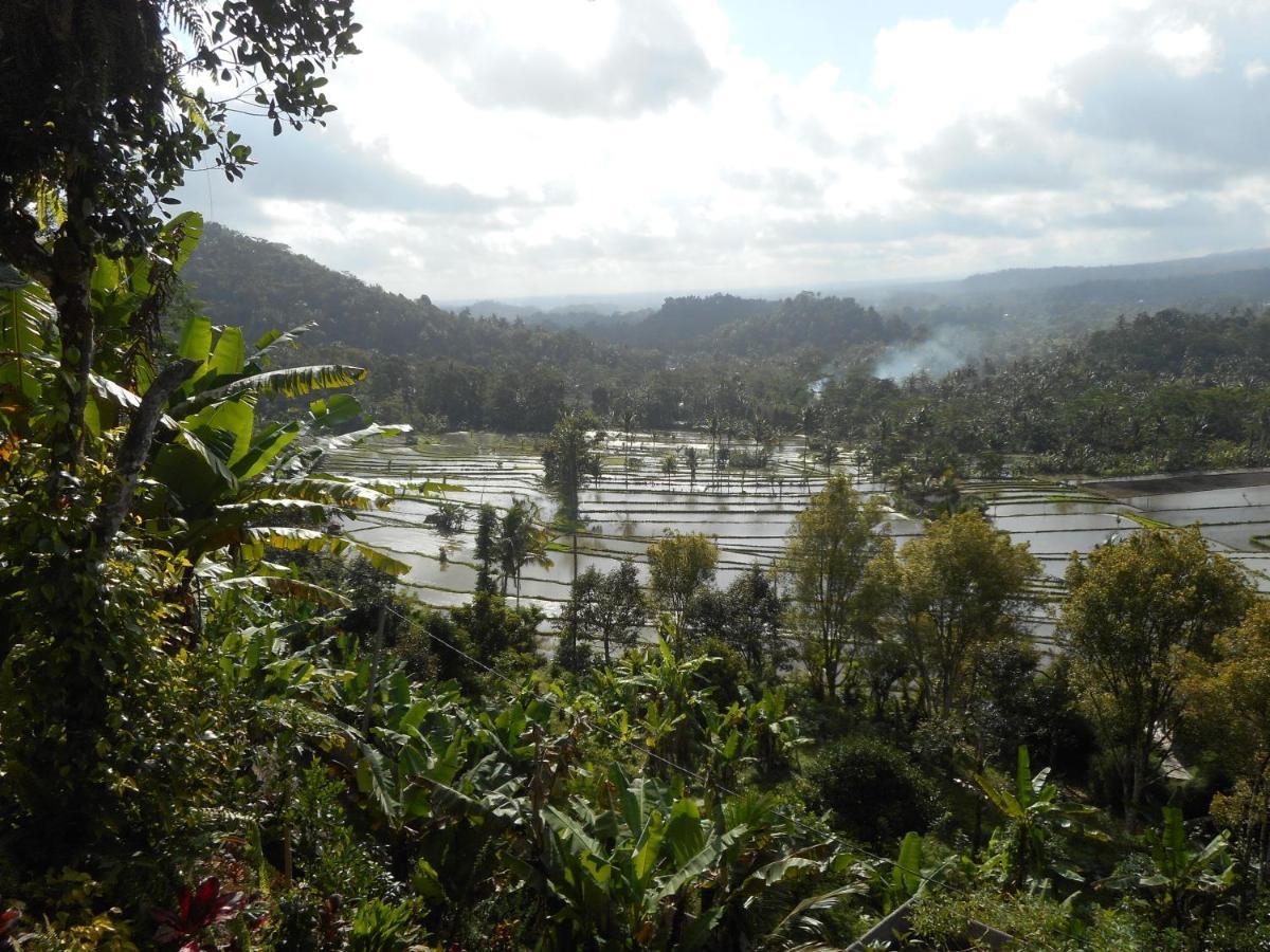 Villa Dukuh Selat Esterno foto