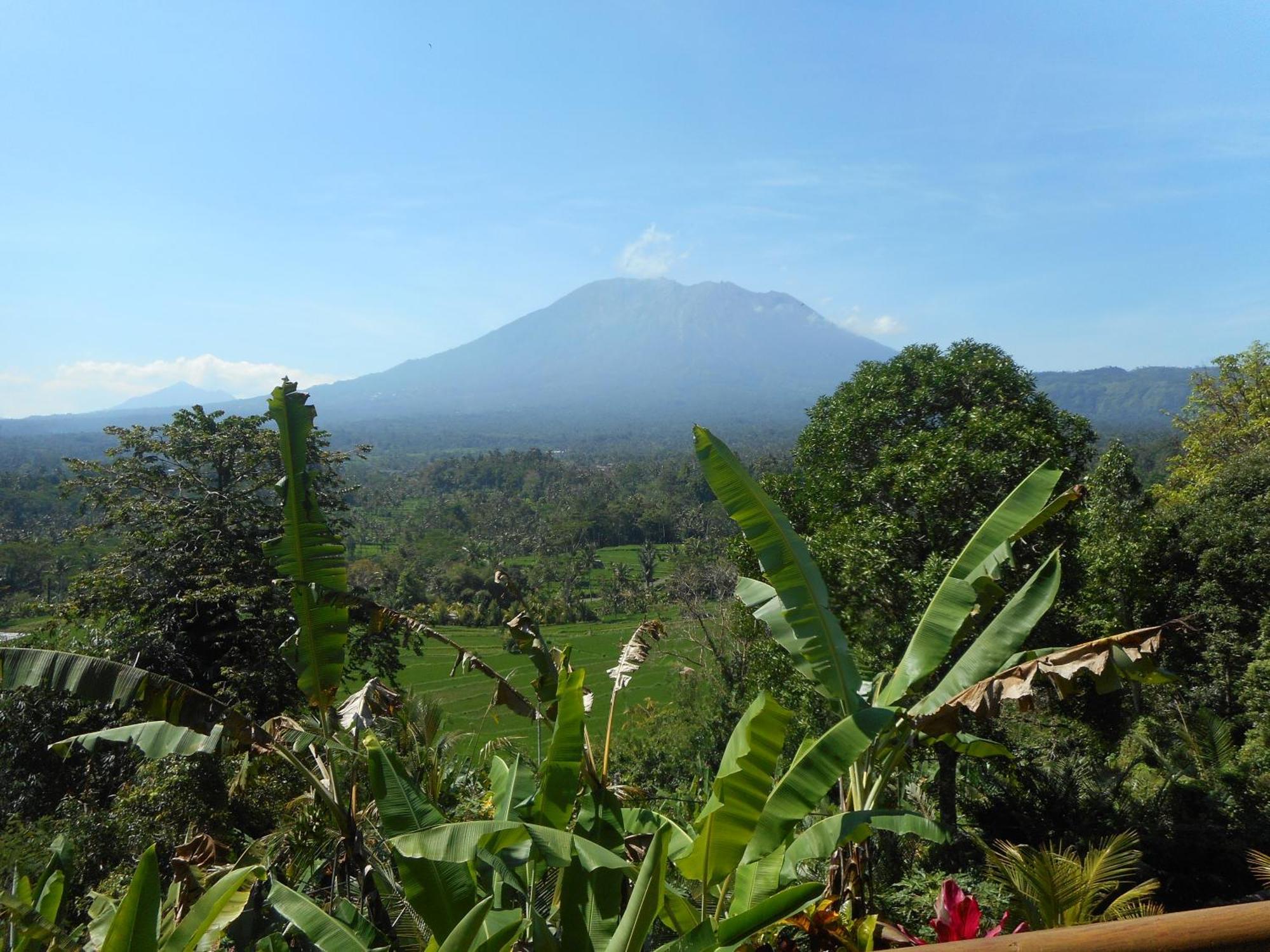 Villa Dukuh Selat Esterno foto
