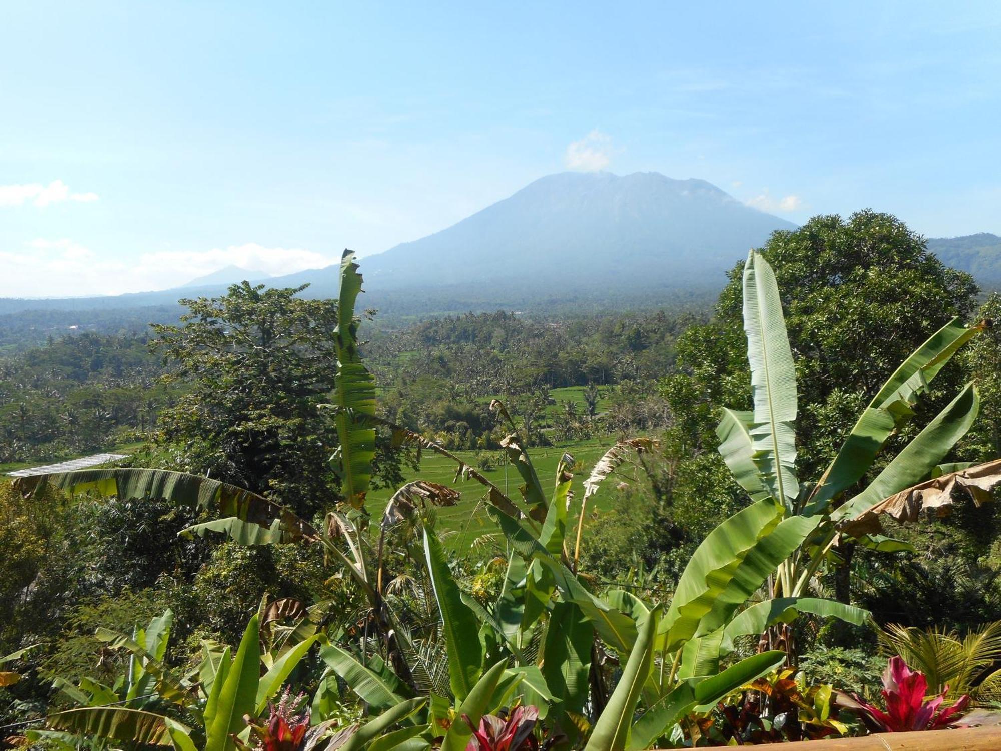 Villa Dukuh Selat Esterno foto
